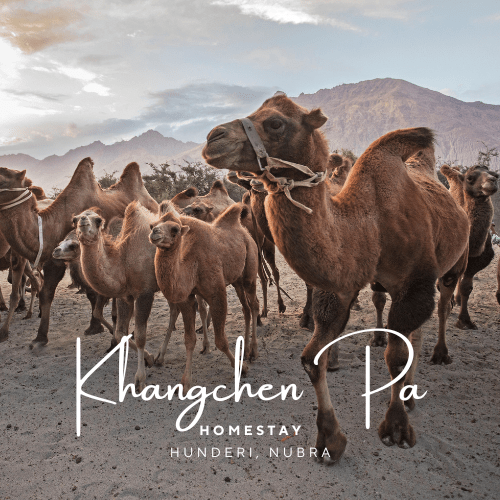 Khangchen Pa Homestay