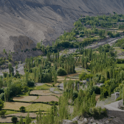Temisgam Village