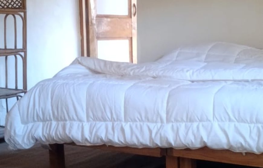 SHAYOK RIVER LODGE