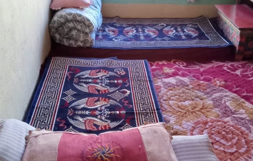 SALDON HOMESTAY