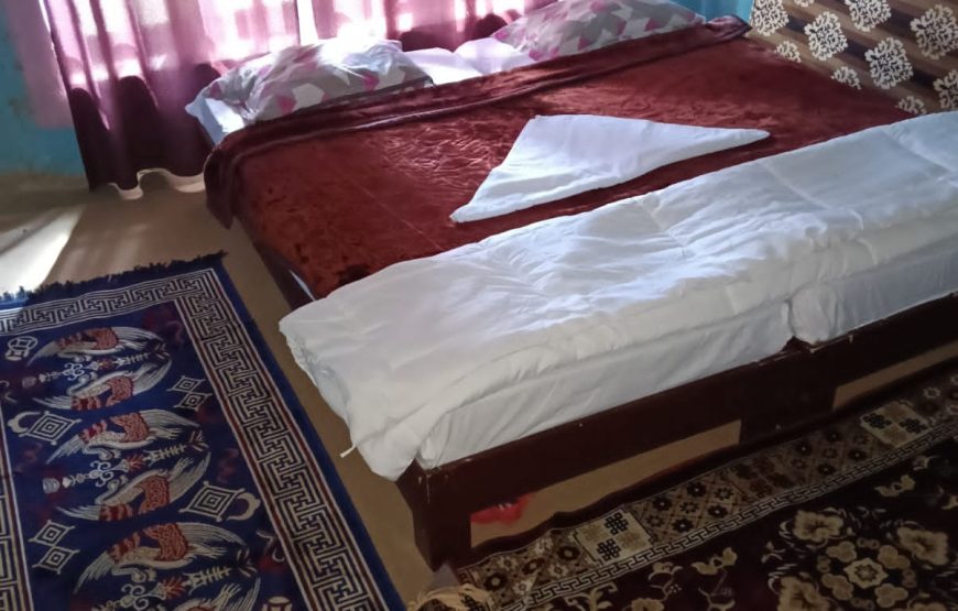 Cozy Nest Homestay